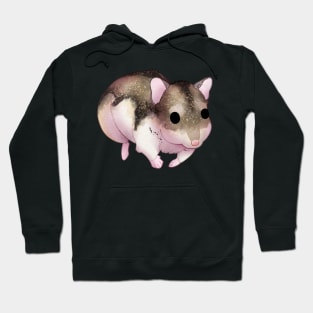 Cozy Dwarf Hamster Hoodie